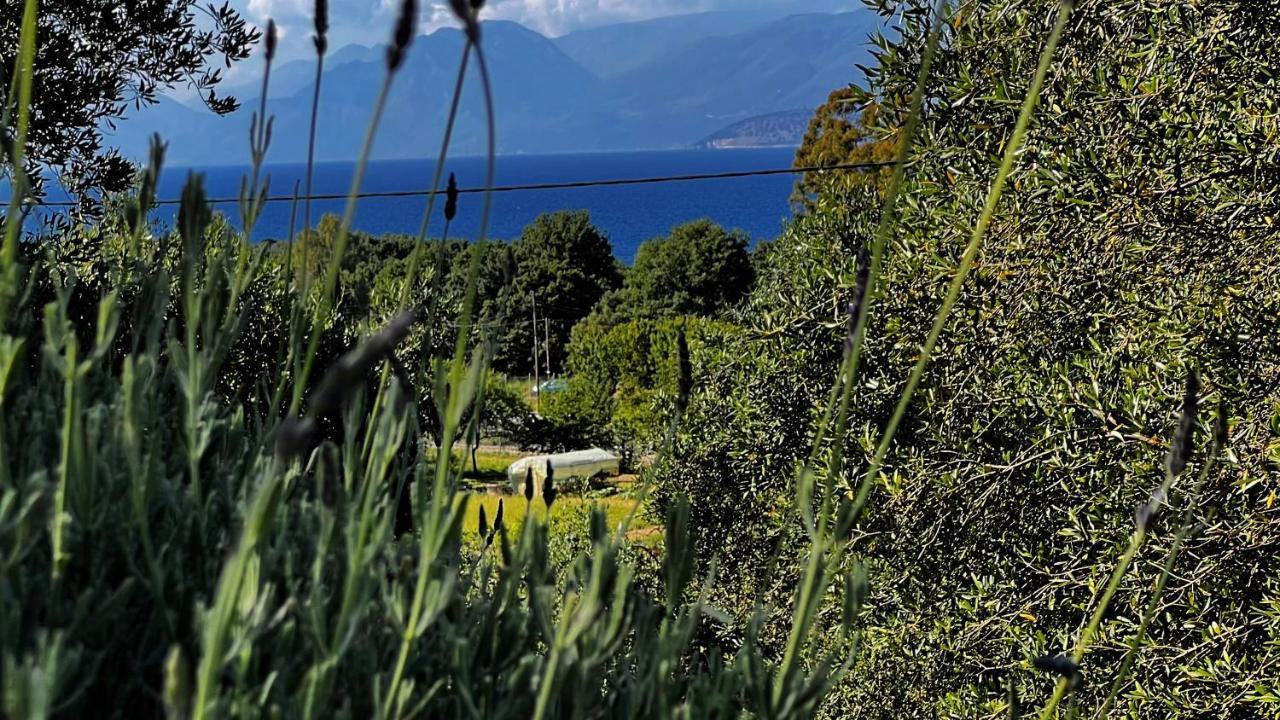 Villa Sania Kassiopi Exteriör bild